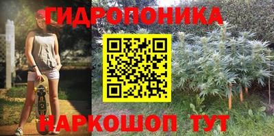 мет Пенза